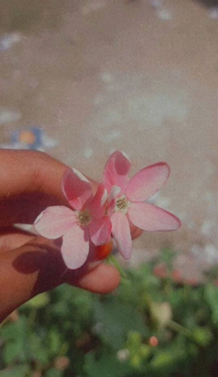 Fahmida