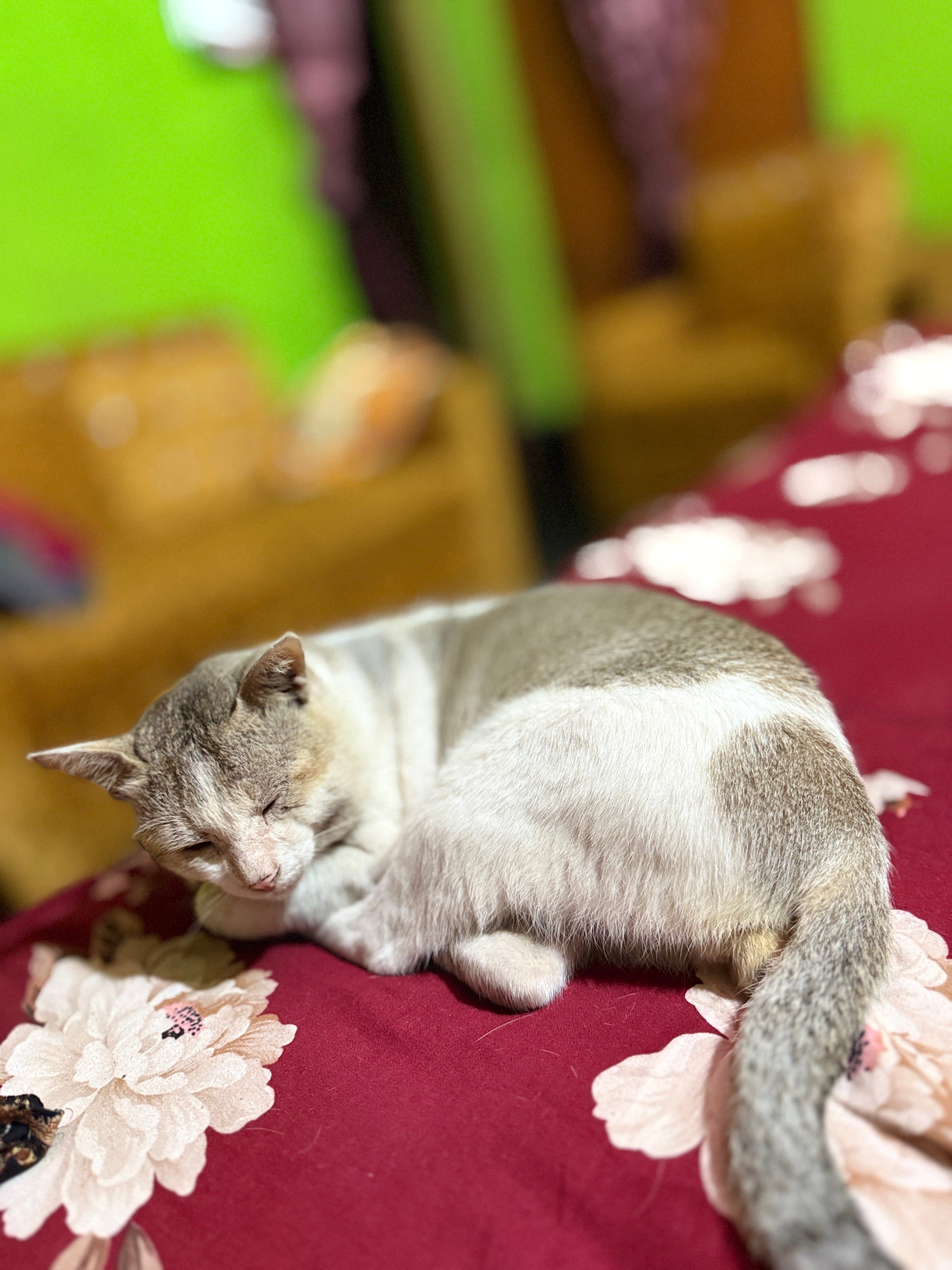 Ratry