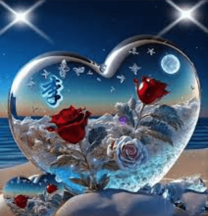 Misme jannat