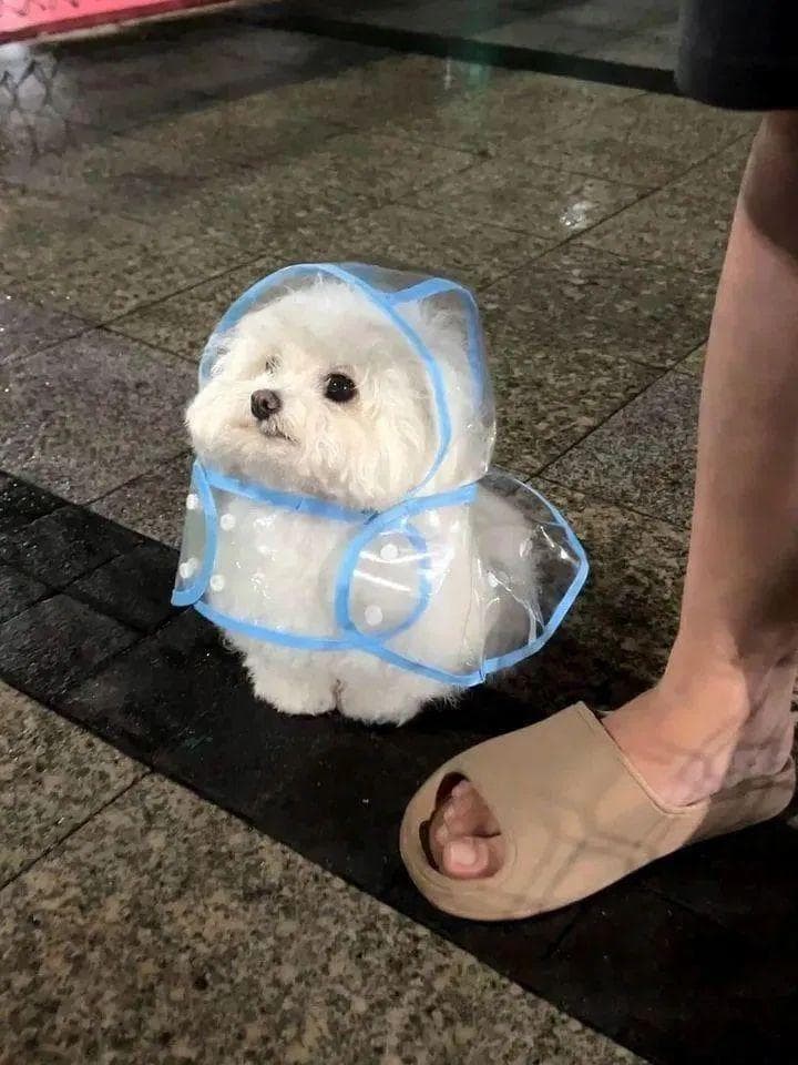 Mim