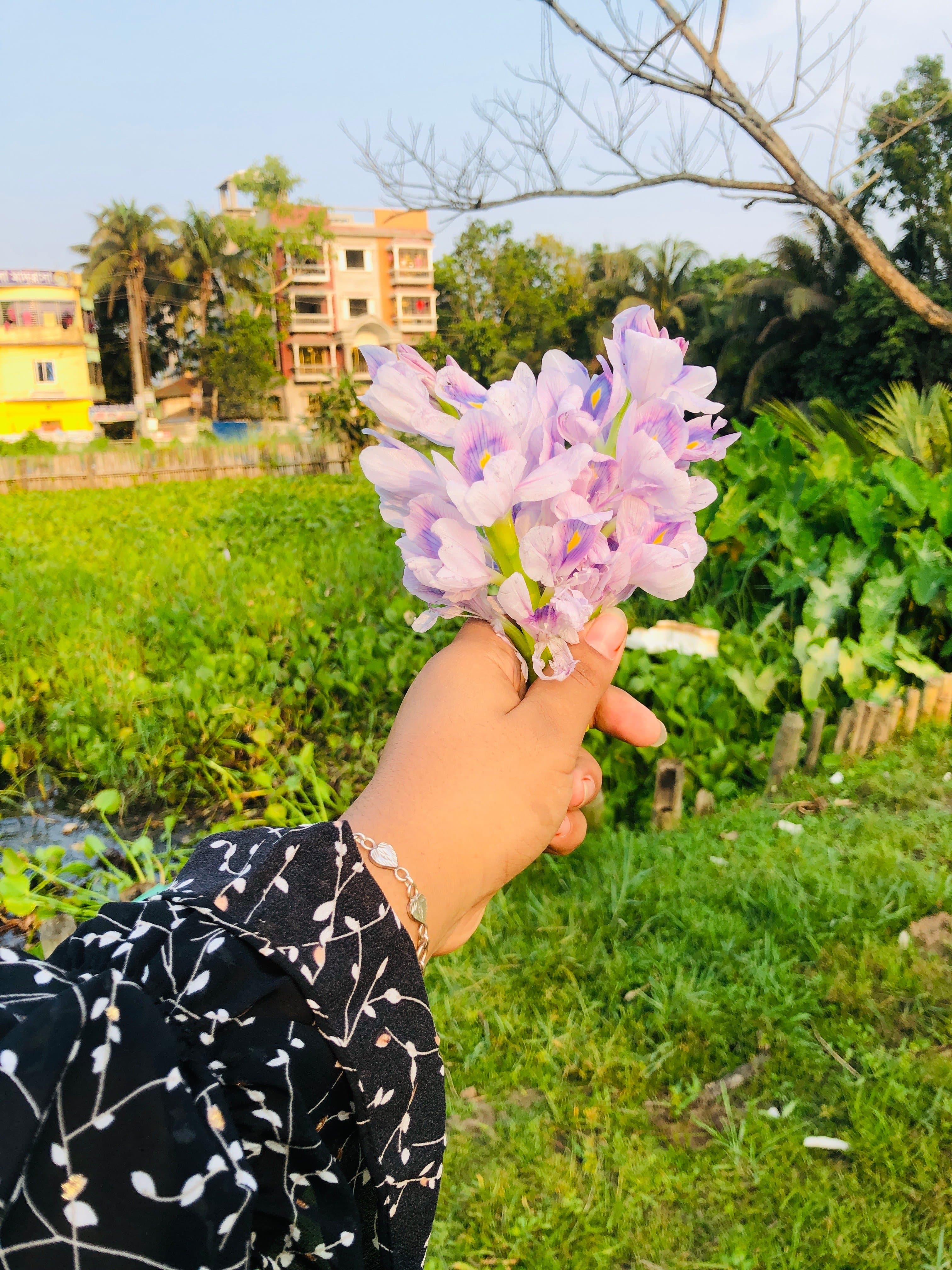Niha Jahan Borsha