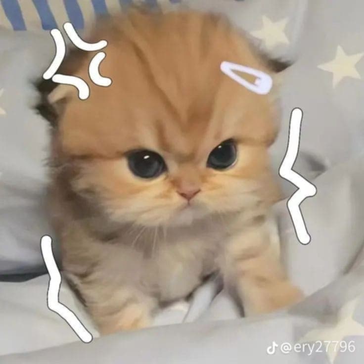 alifa