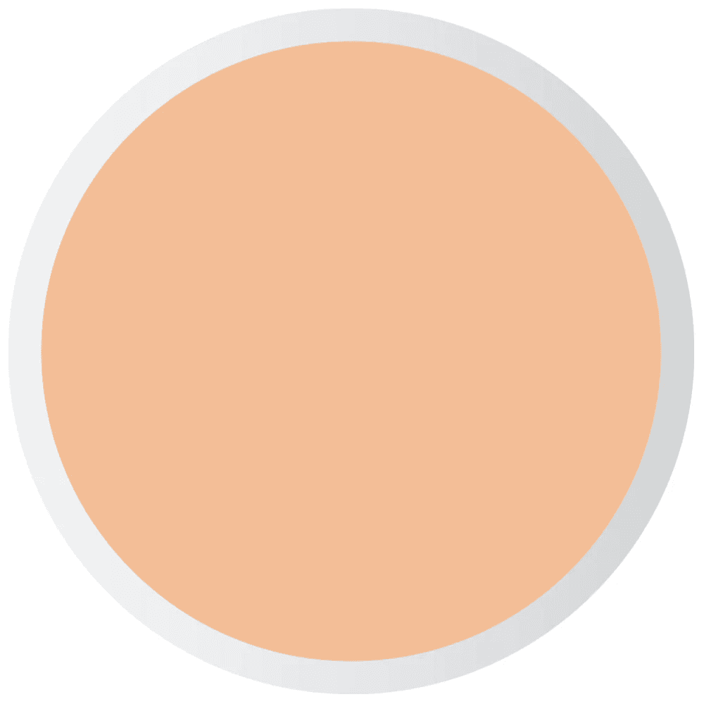 Pastel Profashion Liquid Concealer Peach 103