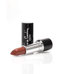 Pierre Cardin porcelain matte edition lipstick-Aurora 208