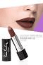 Pierre Cardin porcelain matte edition lipstick-Tan Rose 201