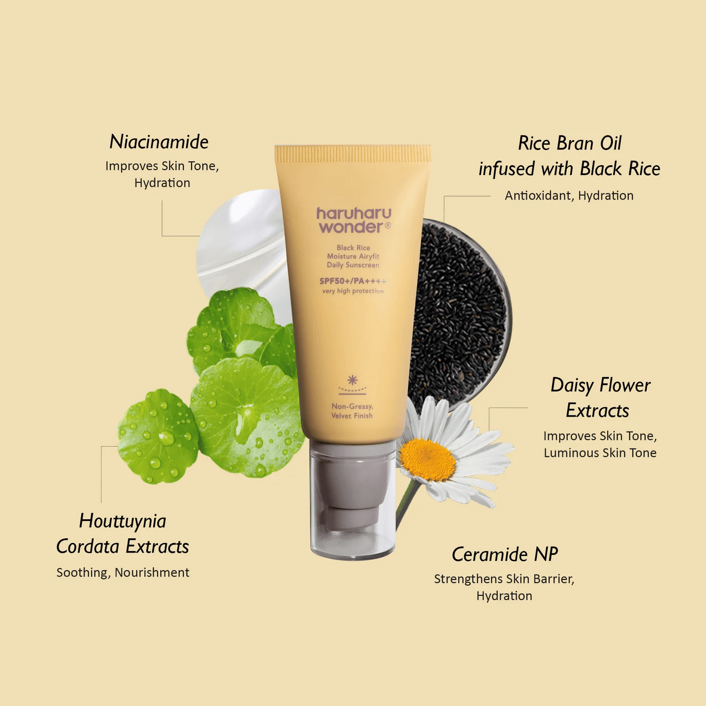 Haruharu Wonder Black Rice Moisture Airyfit Daily Sunscreen SPF50+ PA++++ 50ml
